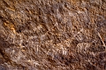 EJ9C4406_FICSA 2016_Pascal_Lahure